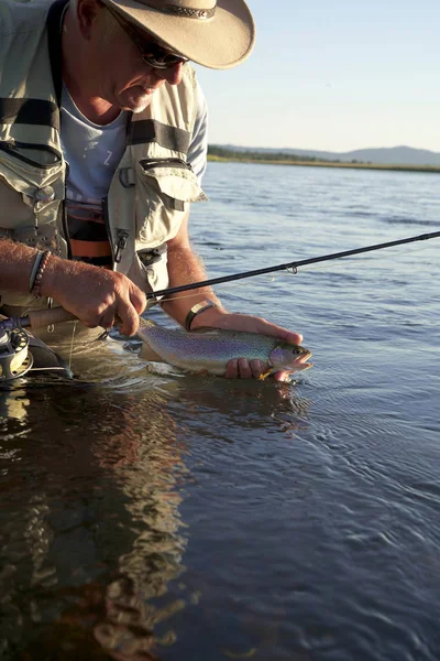 Pescador Mosca Captura Trucha Arco Iris Río — Foto de Stock