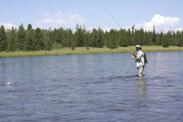 川で魚を捕る漁師を飛ぶ — ストック写真