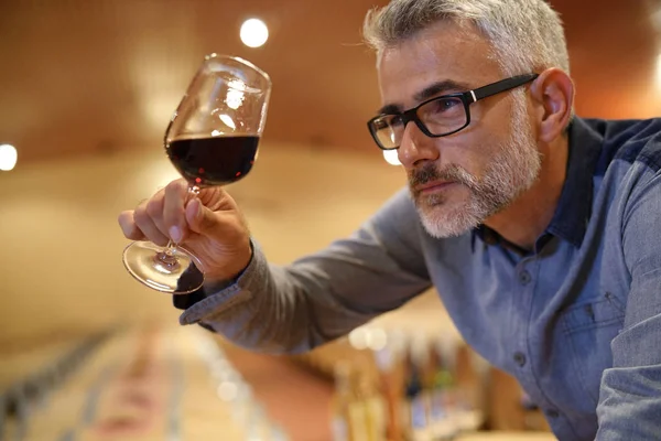 Enólogo Degustação Vinho Tinto Adega — Fotografia de Stock