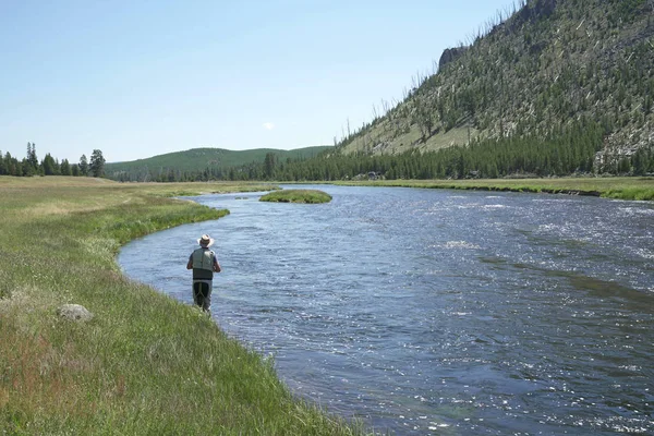 Fisherman Pêche Mouche Dans Rivière État Montana — Photo