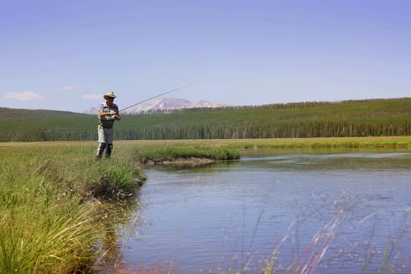 Fiskaren Flyfishing Floden Montana State — Stockfoto