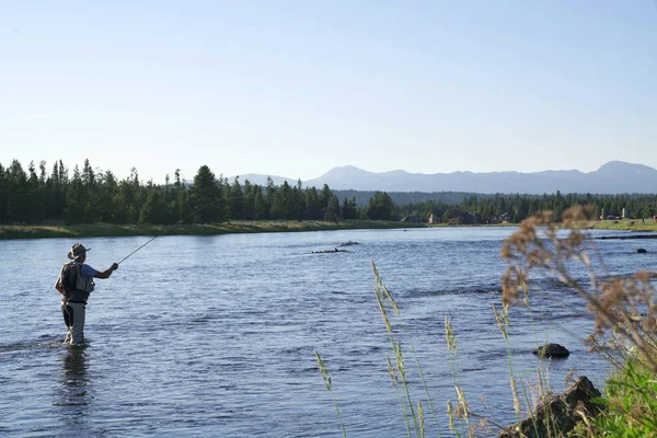 Balıkçı Flyfishing Idaho Nehir Devlet — Stok fotoğraf