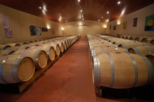 View Wine Barrels Winery — Stock Photo, Image