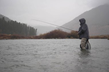 sinek balıkçı, Montana. Doğa