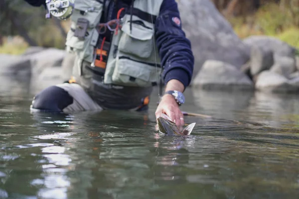 Catching Cutthroat Trout Fly Fisherman — Stock Photo, Image