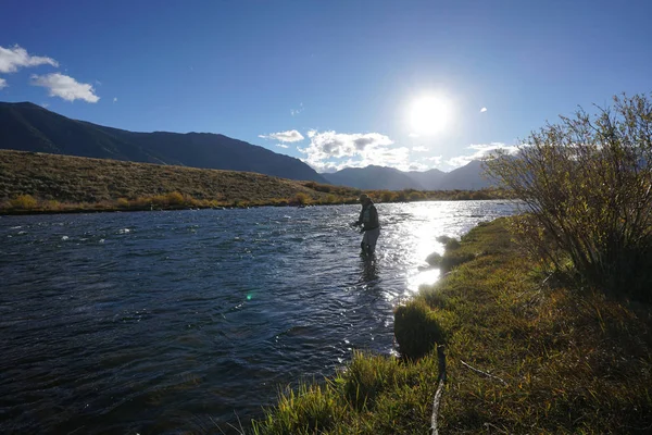 Pêcheur Mouche Sur Rivière Madisson Montana — Photo