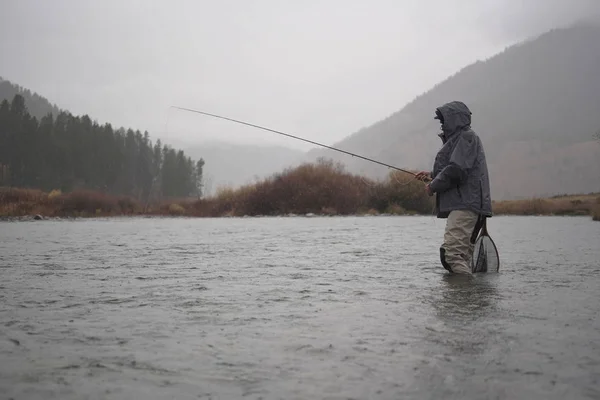 Pescador Voador Montana Natureza — Fotografia de Stock