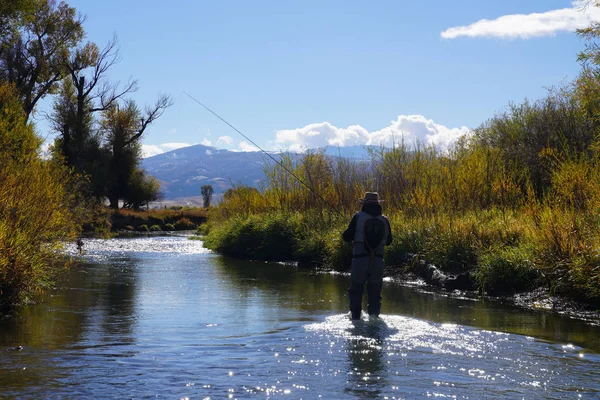 Pescatore Mosca Sul Fiume Ruby Montana — Foto Stock