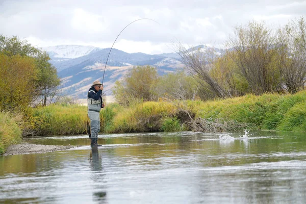 Fly Fisherman Ruby River Montana — Stock Photo, Image