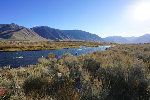 Fly Fisherman Madisson River Montana — Stock Photo, Image