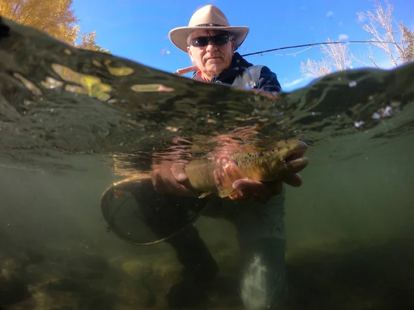 Catching Brown Trout Fly Fisherman — Stock Photo, Image