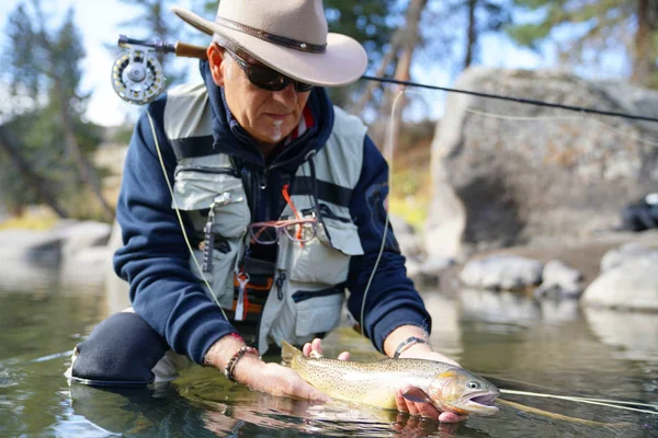 Trout Cutthroat Fly Fishing — Stock Photo, Image