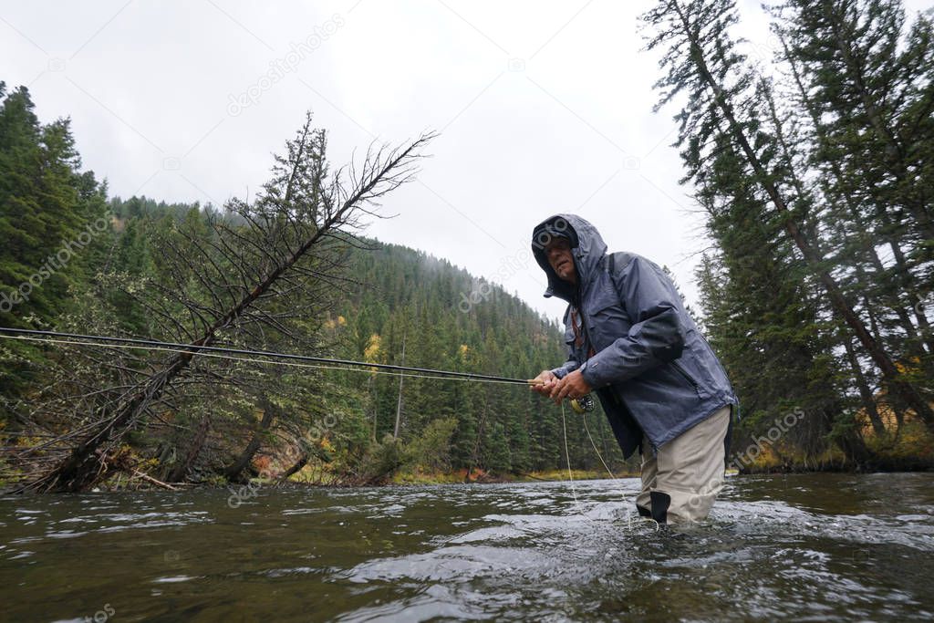 fly fisherman on the Gallatin river,Montana