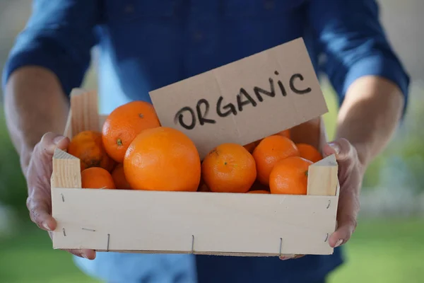当地农民在装有有机标志的箱子中拿着有机橙子和柠檬酸的特写 — 图库照片