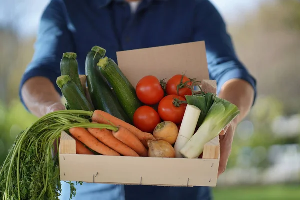 Blízký Místní Farmář Držící Bednu Organické Sezonní Zeleniny Znaménkem — Stock fotografie