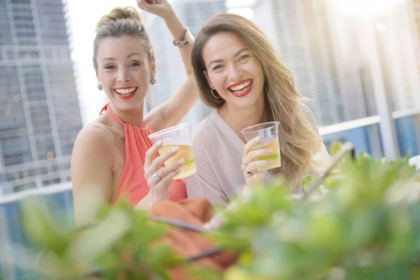 Dois Amigos Divertidos Atraentes Festejando Com Bebidas Bar Último Piso — Fotografia de Stock