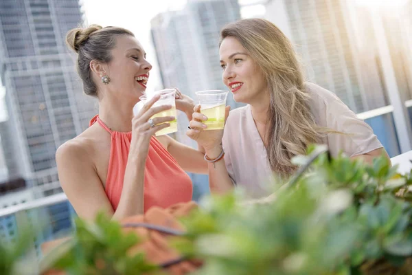 Twee Aantrekkelijke Funloving Vrienden Feesten Met Drankjes Aan Bar Het — Stockfoto