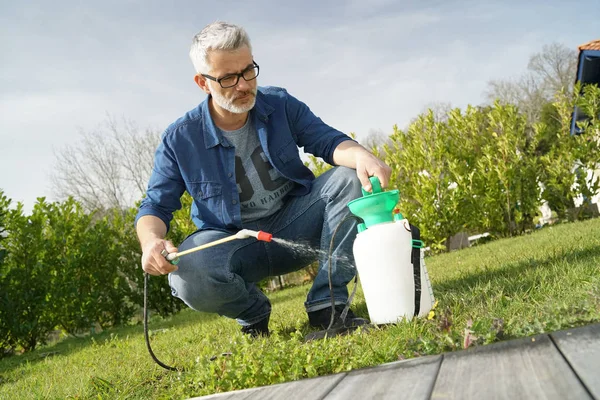 Mann Benutzt Gartensprayer Auf Rasen Hinterhof — Stockfoto