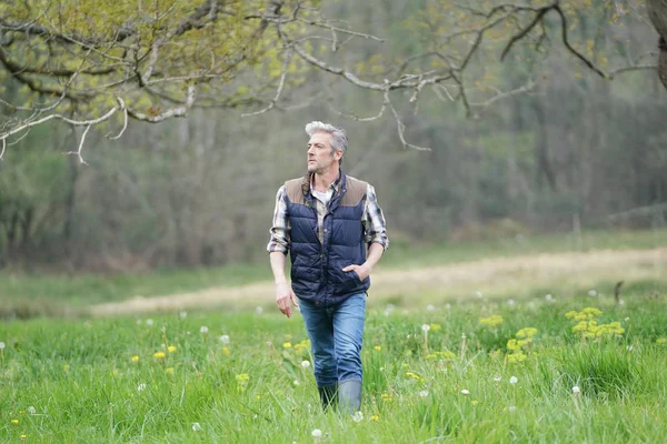 Mature man walking in countryside