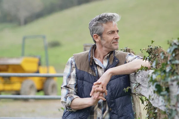 Farmer Támaszkodva Kerítés Területen Néz — Stock Fotó