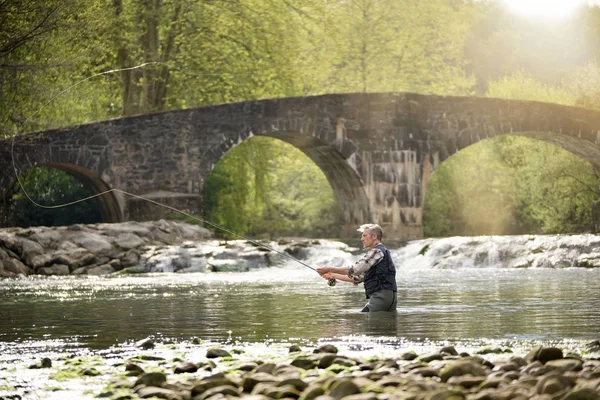 Ältere Mann Fliegenfischen Schönen Fluss lizenzfreie Stockbilder