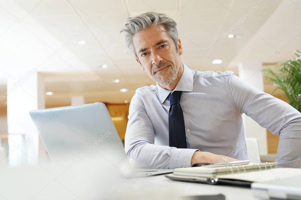 Mature businessman working in modern office