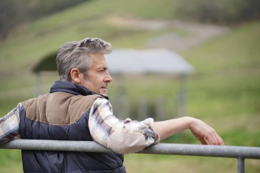 Çiftçi çit üzerine eğilerek tarlaya bakıyor