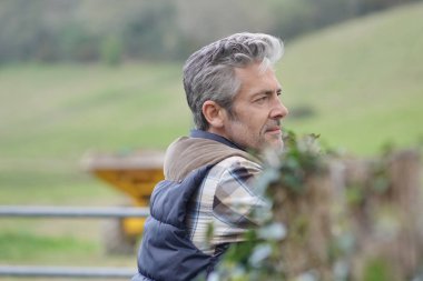 Çiftçi tarlada çit üzerine eğilerek dışarı bakıyor