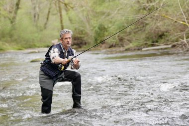 Mature man fly fishing in beautiful river clipart