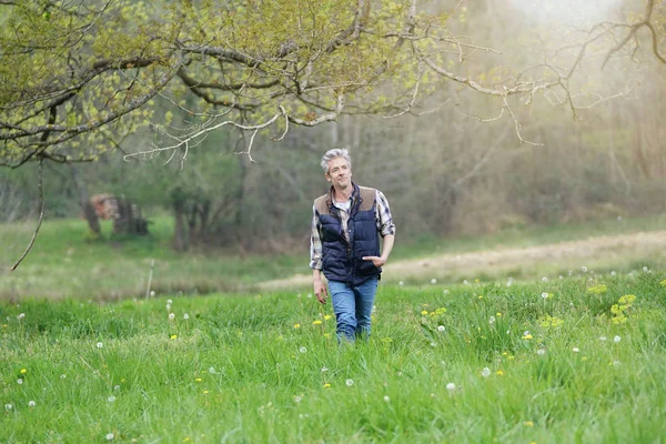 Homme Mûr Marchant Dans Campagne — Photo