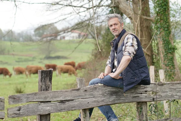 Aantrekkelijke Boer Leunend Hek Kijken Naar Camera — Stockfoto