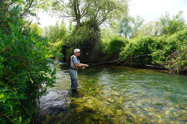 Voler Pêcheur Dans Rivière Plein Air — Photo