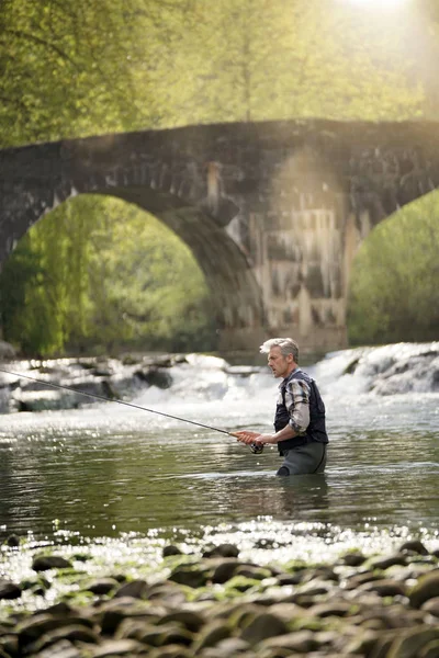 Hombre Maduro Pesca Con Mosca Hermoso Río — Foto de Stock