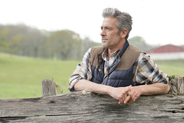 Farmer leaning on fence in field looking out