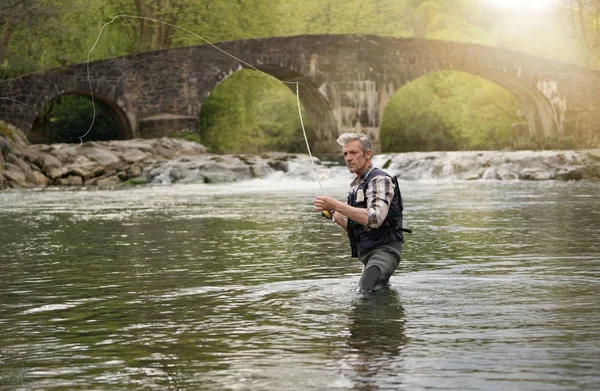 Hombre Maduro Pesca Con Mosca Hermoso Río — Foto de Stock