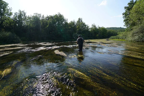 Voler Pêcheur Dans Rivière Plein Air — Photo