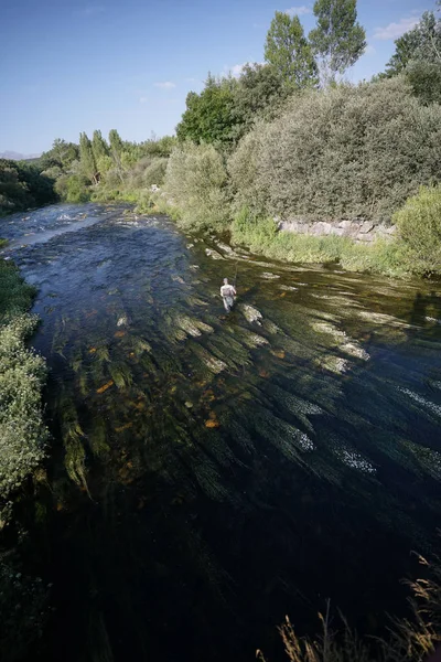 Voler Pêcheur Dans Rivière Plein Air — Photo