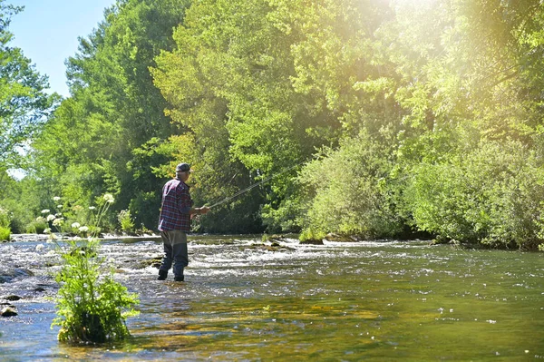 Pêcheur Mouche Été Pêche Dans Une Rivière Montagne Avec Des — Photo