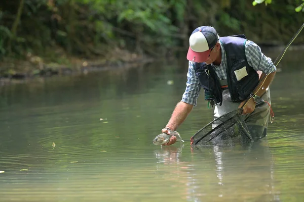 Pescador Mosca Verano Captura Una Trucha Arco Iris Pesca Río — Foto de Stock