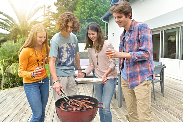 Grupo Amigos Teniendo Una Comida Aire Libre — Foto de Stock