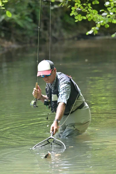 Pesca Mosca Estate Cattura Una Trota Iridea Pesca Fiume Montagna — Foto Stock