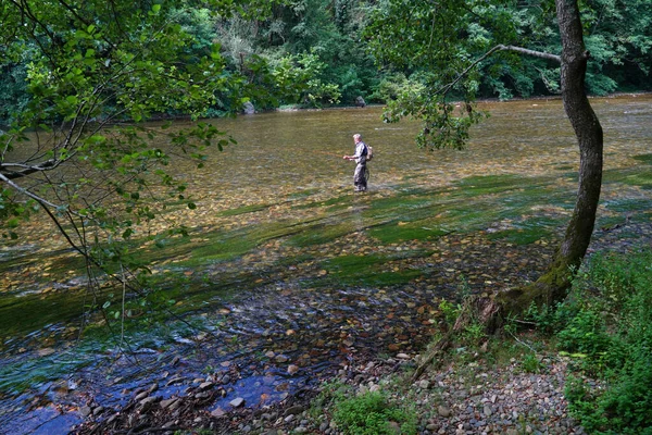 Fliegenfischen Sommer Einem Schönen Fluss Mit Klarem Wasser — Stockfoto