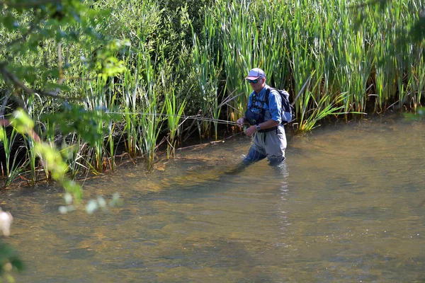 Pescador Mosca Pesca Verão Rio Montanha Com Waders Tampão — Fotografia de Stock