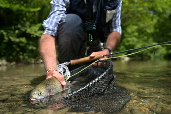 Pescador Mosca Verano Captura Una Trucha Arco Iris Pesca Río —  Fotos de Stock