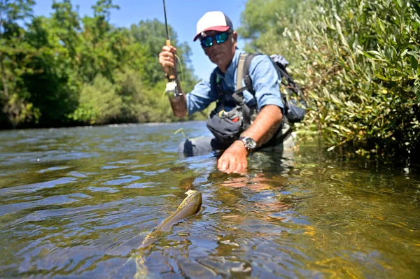 Pescatore Mosca Estate Pesca Alla Trota Fario Fiume Montagna — Foto Stock