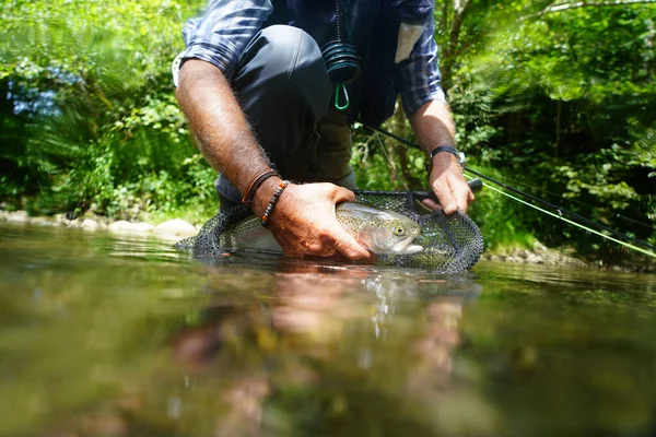 Pêcheur Mouche Été Attraper Une Truite Arc Ciel Pêche Dans — Photo