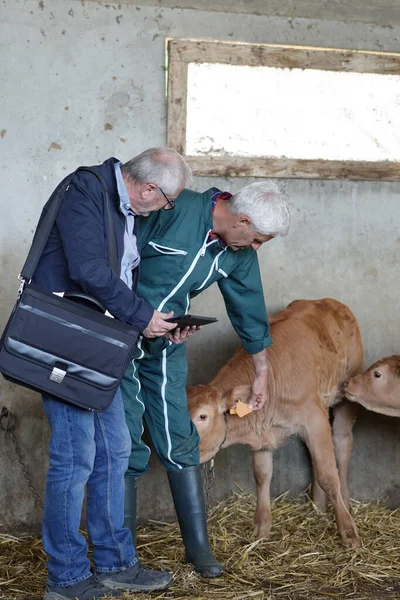 Breeder Meeting Financial Advisor Barn — Stock Photo, Image