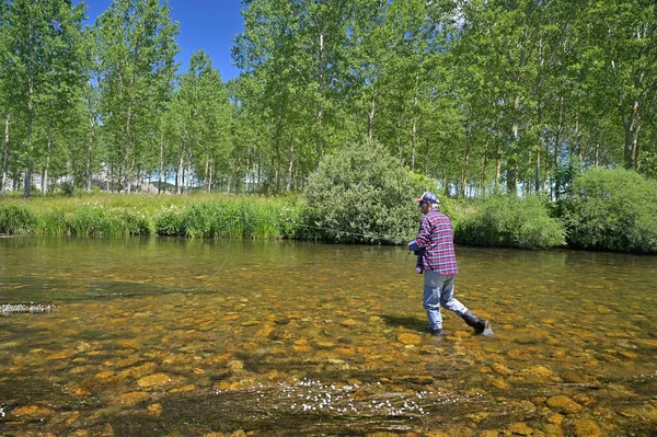 Flugfiskare Sommaren Fiskar Fjällälv Med Vadare Och Mössa — Stockfoto