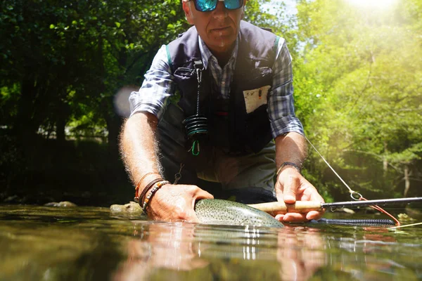 Pescador Mosca Verano Captura Una Trucha Arco Iris Pesca Río — Foto de Stock