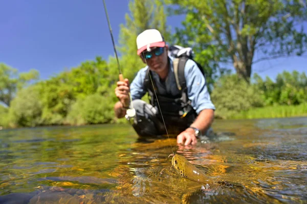 Pescador Mosca Verano Captura Trucha Marrón Pesca Río Montaña —  Fotos de Stock